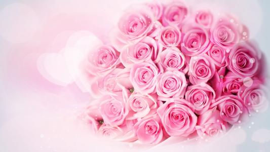 彩色玫瑰的花语 粉色玫瑰的花语