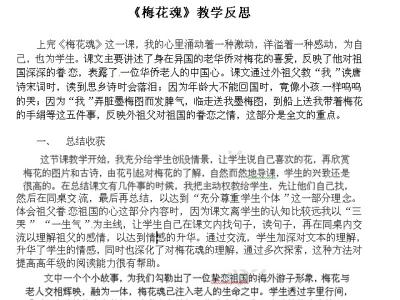 长相思教学反思 梅花魂教学反思