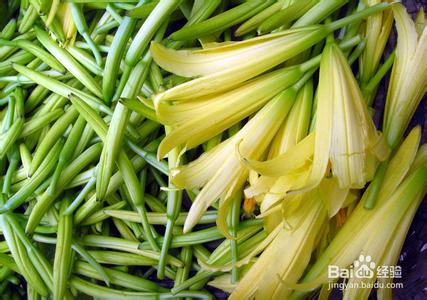 黄花菜的做法 黄花菜的功效与作用及食用方法