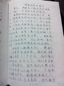 作文自然现象400字 关于自然现象的作文