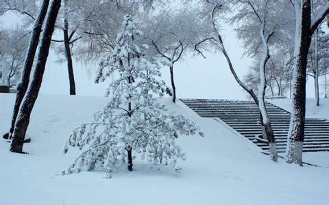 描写雪景的优美段落 关于冬天雪景的优美段落