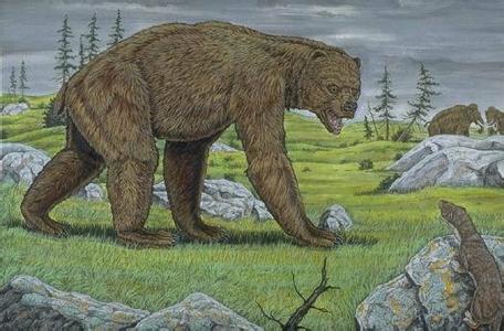 北美巨型短面熊 北美巨型短面熊 北美巨型短面熊-简介，北美巨型短面熊-短面熊特