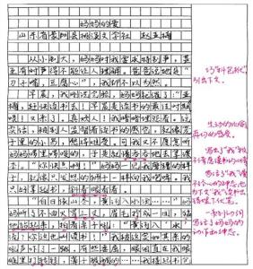 感恩母亲的作文800字 关于感恩母亲的作文