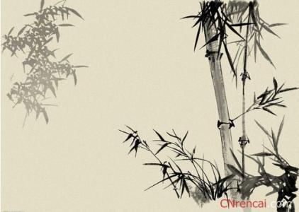 关于竹子的诗句古诗 关于竹子的诗句