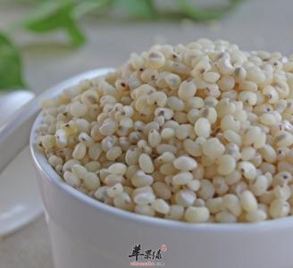高粱米禁忌 高粱米的功效与作用