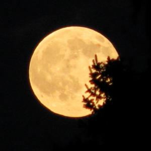 月亮本身会发光吗 「月亮本身不发光，发光的是太阳」这样的知识究竟有什么用处？