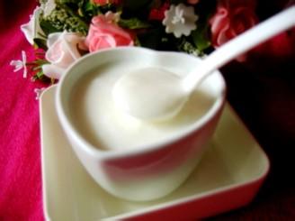 家庭酸奶机制作方法 家庭自制酸奶的做法