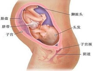 怀孕8个月睡姿 怀孕8个月注意事项