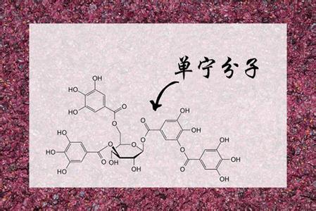 单宁牛仔裤是什么意思 单宁是什么意思？