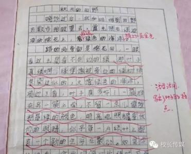 老师的教诲作文500字 老师的教诲作文