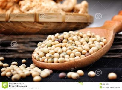 大豆分离蛋白 大豆蛋白 大豆蛋白-简介，大豆蛋白-应用介绍