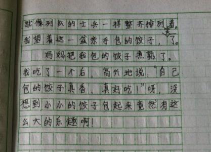 我学会包饺子作文400 我学会了包饺子400字