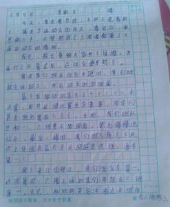 精彩的运动会作文600字 精彩的运动会作文400字