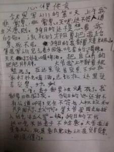 西丰一中军训 小学生军训作文