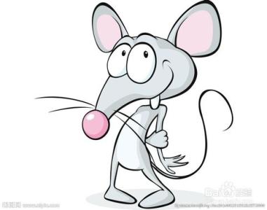 老鼠的特征 老鼠会 老鼠会-简介，老鼠会-主要特征