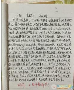 我的兴趣爱好作文读书 我的兴趣爱好作文400字