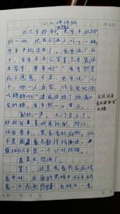 心儿怦怦跳作文400字 心儿怦怦跳作文500字