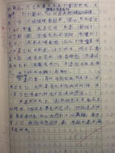 作文美好的回忆600字 作文美好的回忆