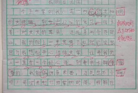 我的自画像50字 我的自画像100字