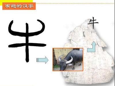 有趣的汉字教案 有趣的汉字
