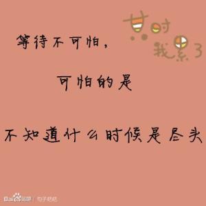 真情语句一句话 关于真情的句子