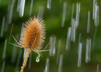 雨滴打在镜头上的影片 如何用镜头“凝固”雨滴