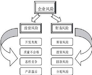 企业财务风险管理 企业财务风险管理的四大内容