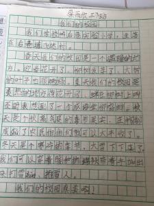 美丽的校园作文100字 美丽的校园作文