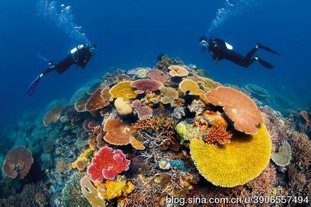 大堡礁 大堡礁-概况，大堡礁-交通