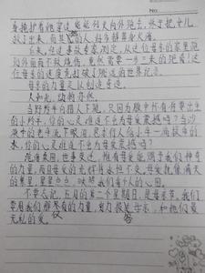 感恩母爱作文400字 感恩母爱作文