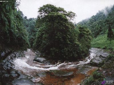 贵州习水中亚热带常绿阔叶林国家级自然保护区 贵州习水中亚热带