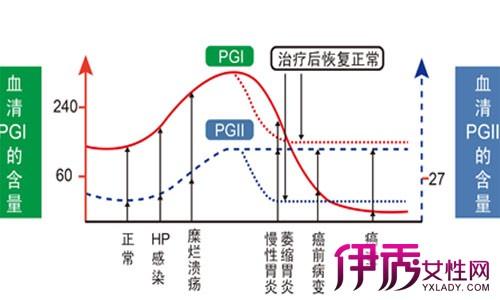 胃蛋白酶原 胃蛋白酶原-组成，胃蛋白酶原-代谢