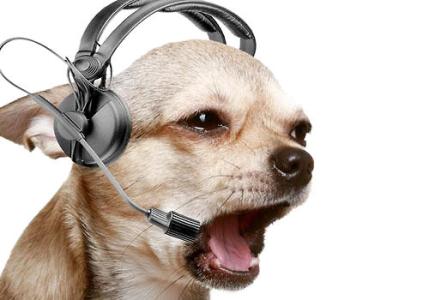 音乐狗狗 音乐狗狗-游戏基本信息，音乐狗狗-游戏目标