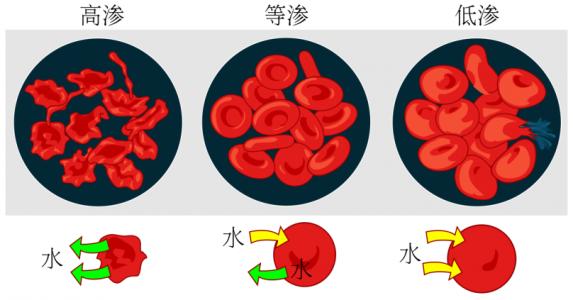 渗透压摩尔浓度 渗透压摩尔浓度-渗透压摩尔浓度，渗透压摩尔浓度