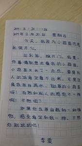 观察日记100字动物 观察日记100字