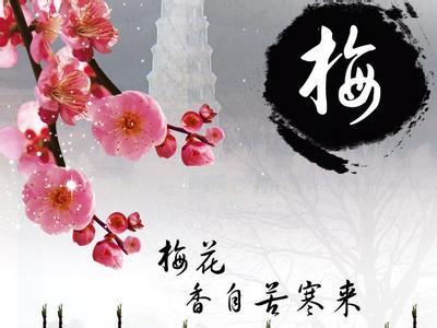 一句话赞美梅花的句子 赞美梅花的句子