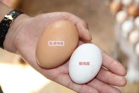 柴鸡蛋和土鸡蛋哪个好 柴鸡蛋和普通鸡蛋的区别