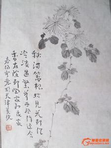 关于竹子的诗句 关于菊花的诗句古诗