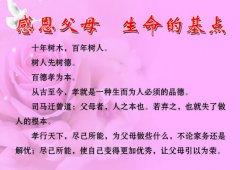 感谢母爱的名言警句 关于感恩父母的名言警句