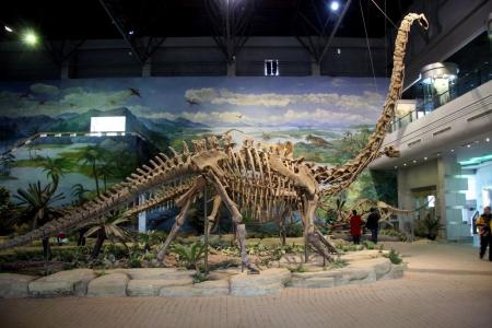 自贡恐龙博物馆 自贡恐龙博物馆-场馆介绍，自贡恐龙博物馆-资源