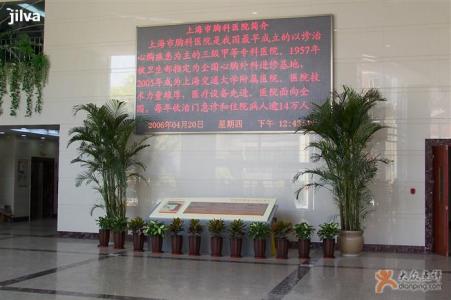 上海胸科医院 上海胸科医院-医院设施，上海胸科医院-历史沿革