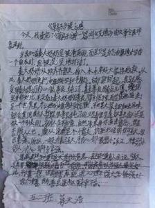 草房子读后感200字6篇 草房子读后感200字