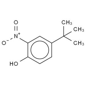 邻硝基对叔丁基苯酚 邻硝基对叔丁基苯酚-物质内容，邻硝基对叔丁