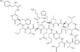 内啡肽 内啡肽-基本介绍，内啡肽-历史