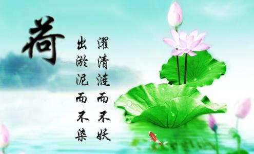 佛教关于莲花的诗句 关于莲花的诗句