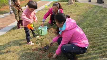二月二活动方案 小学植树节活动方案