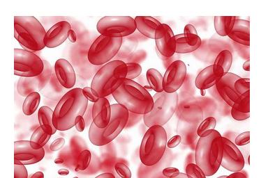 镰刀形红细胞贫血症 镰刀形红细胞贫血症-病症简介，镰刀形红细胞