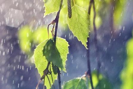 关于雨的现代诗 简短的 关于雨的现代诗