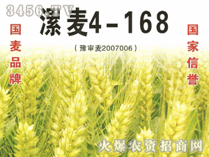 漯麦4-168 漯麦4-168-基本信息，漯麦4-168-特征特性: