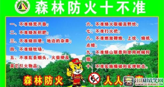 森林防火宣传语音 森林防火宣传标语